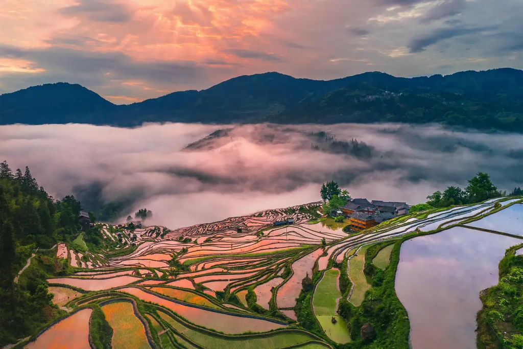 Jiabang Rice Terraces