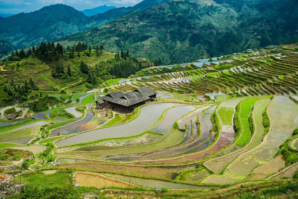 Jiabang Rice Terraces