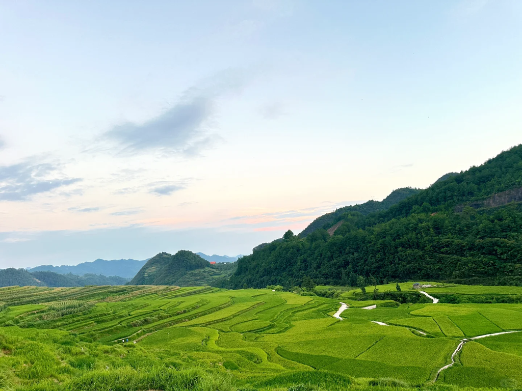 Gaoyao Rice Terraces