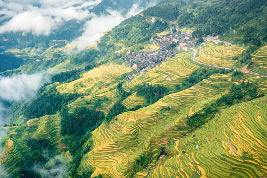 Jiabang Rice Terraces