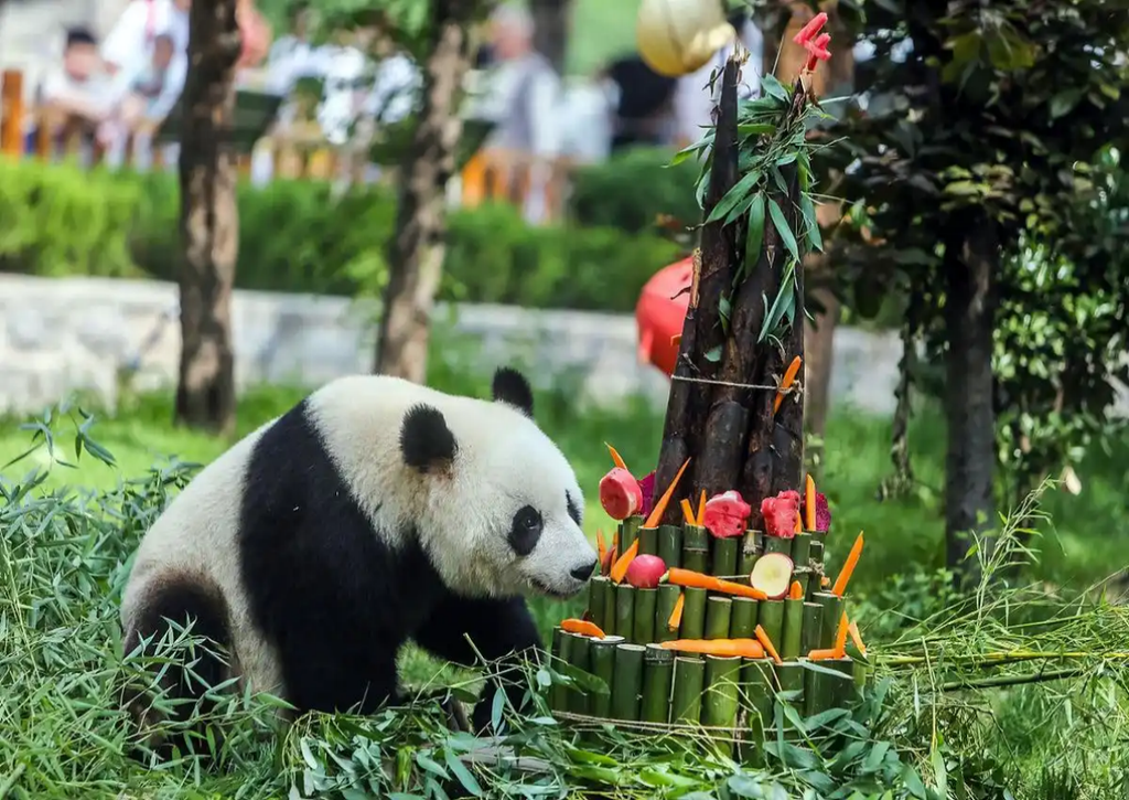 Chengdu Research Base of Giant Panda Breeding