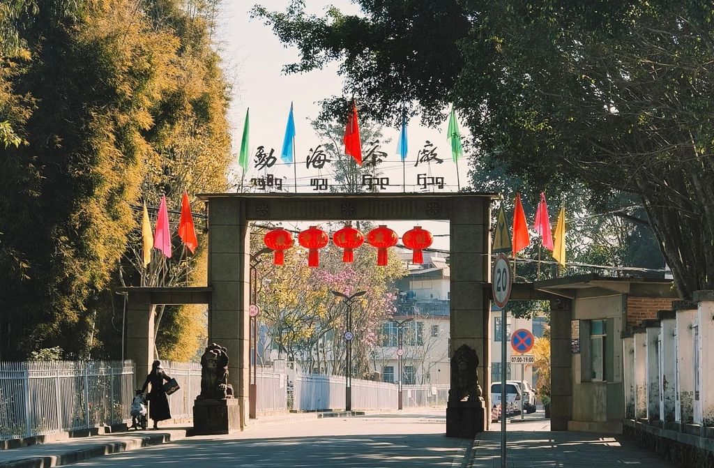 **Menghai Tea Factory (Dayi)**