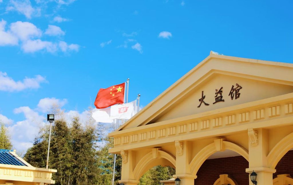 **Menghai Tea Factory (Dayi)**