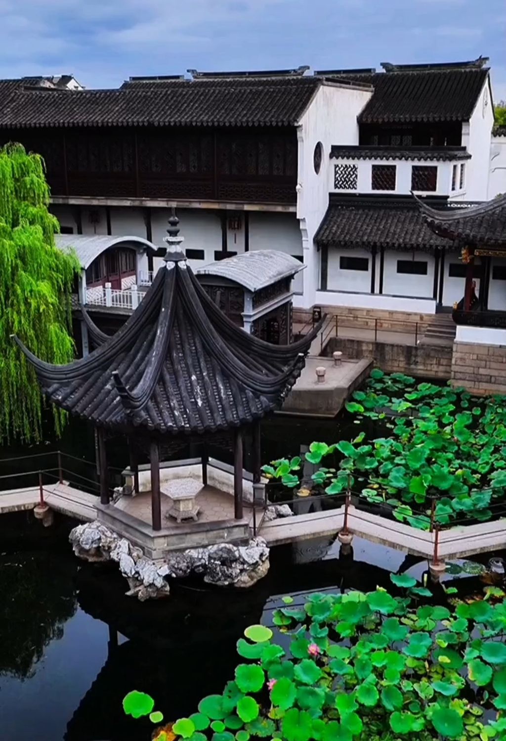 Lion Grove Garden