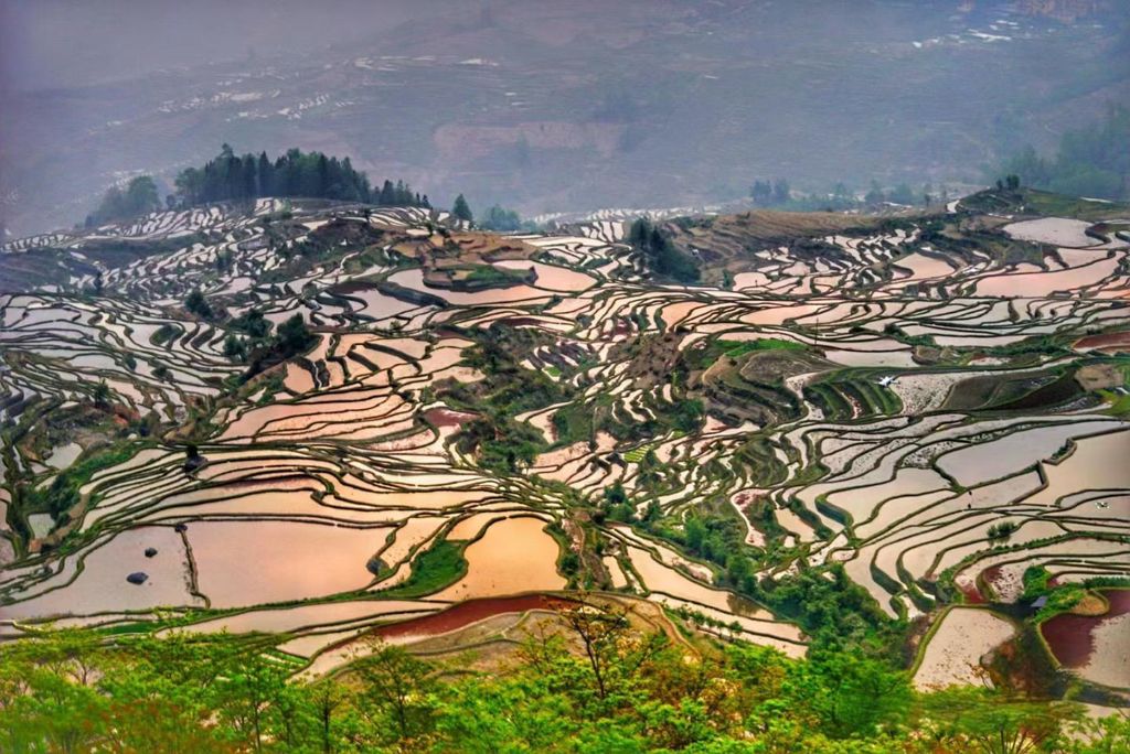 **Duoyishu Terraces**