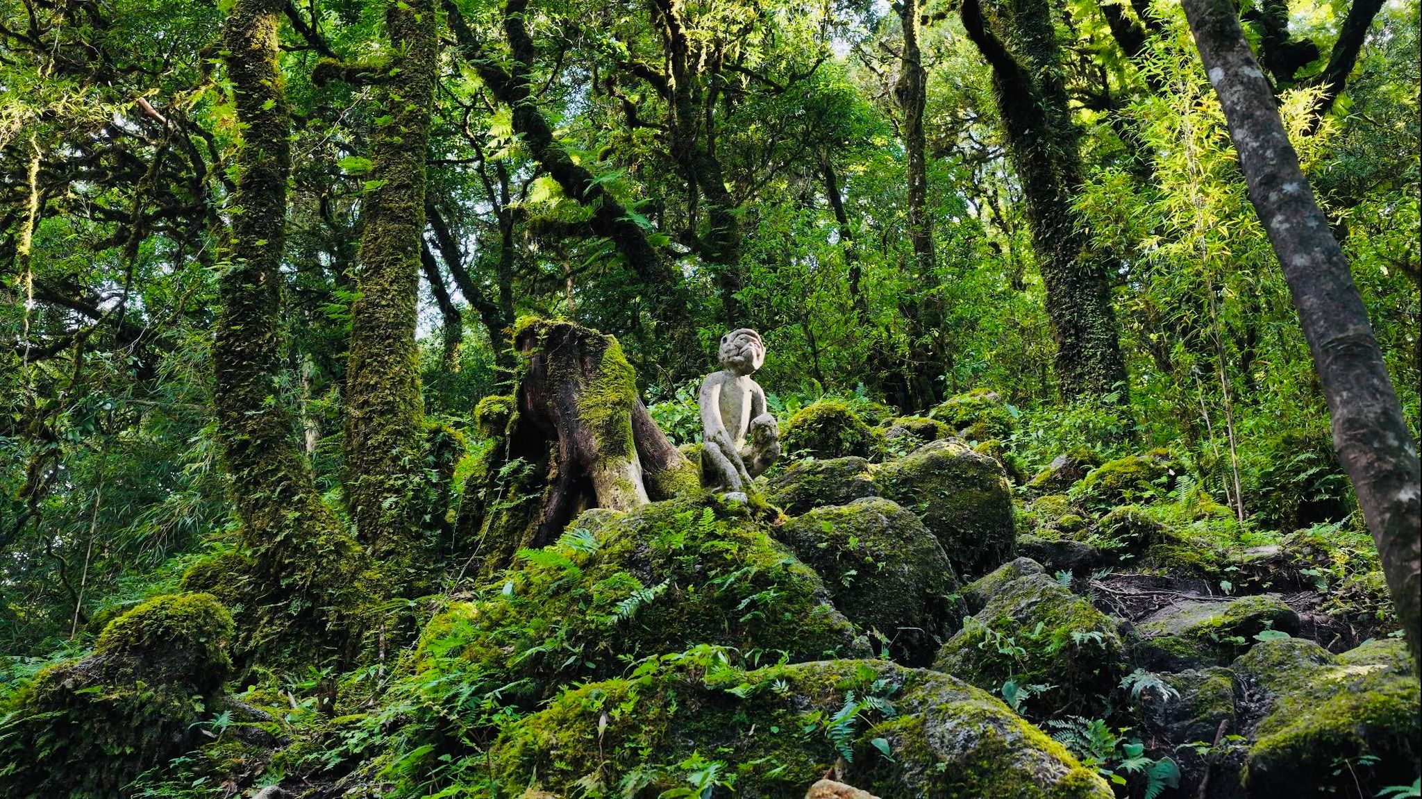 Into the Ailao Mist — A Journey Through Yunnan's Hidden South