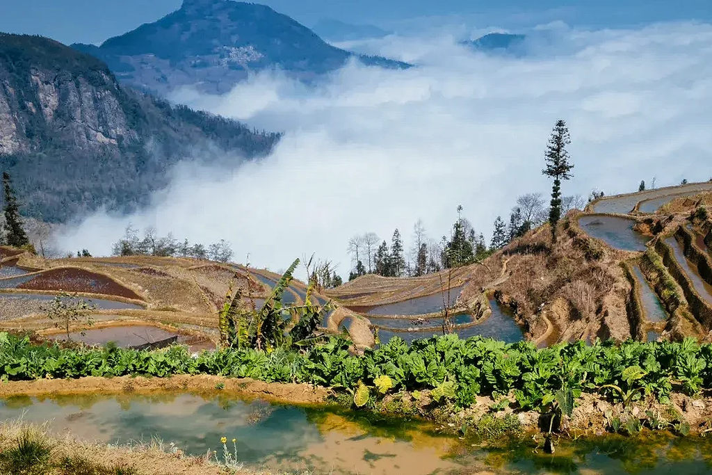 Yuanyang Rice Terraces Hiking