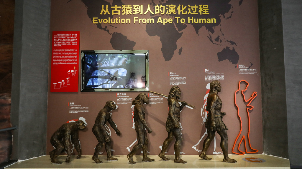 **Chengjiang Fossil Site Natural History Museum**
