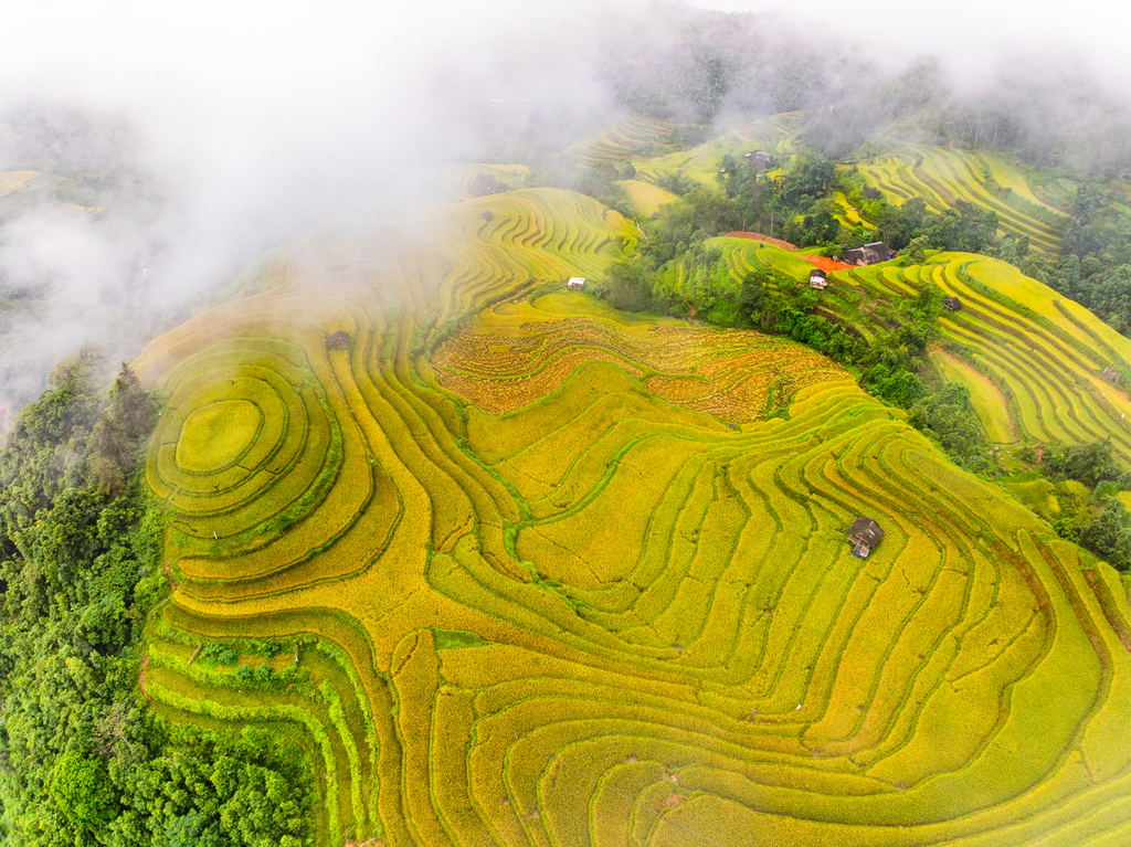 Yuanyang Rice Terraces