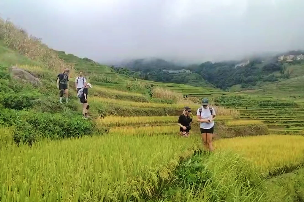 Yuanyang Rice Terraces Hiking