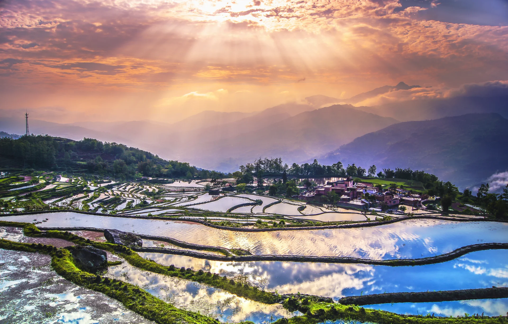 Yuanyang Rice Terraces